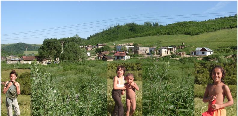 Gipsy village along the road to Chminianske Jakubovany