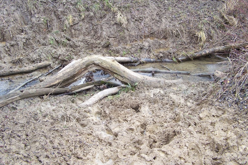 Muddy stream crossing...