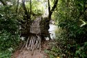 #9: Adventurous constructions crossing swamps