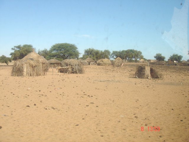 Village near 16N 16W