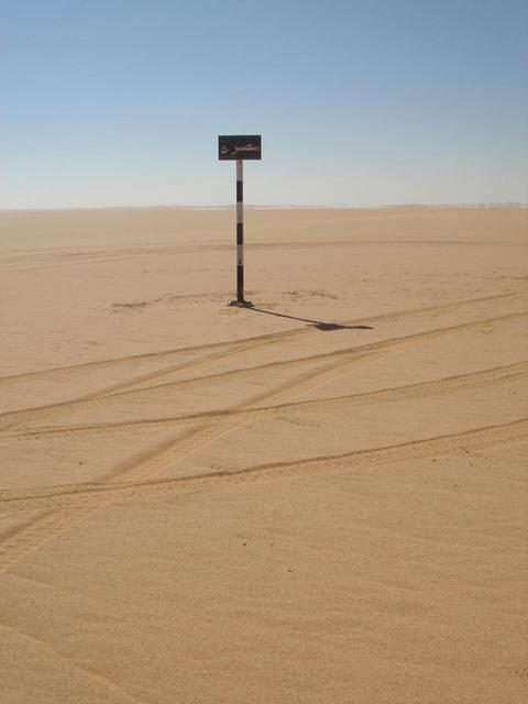 pic1.jpg