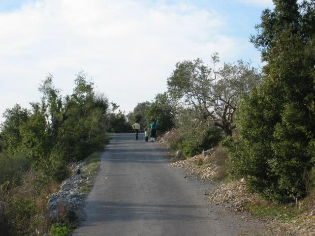 Road to the Confluence