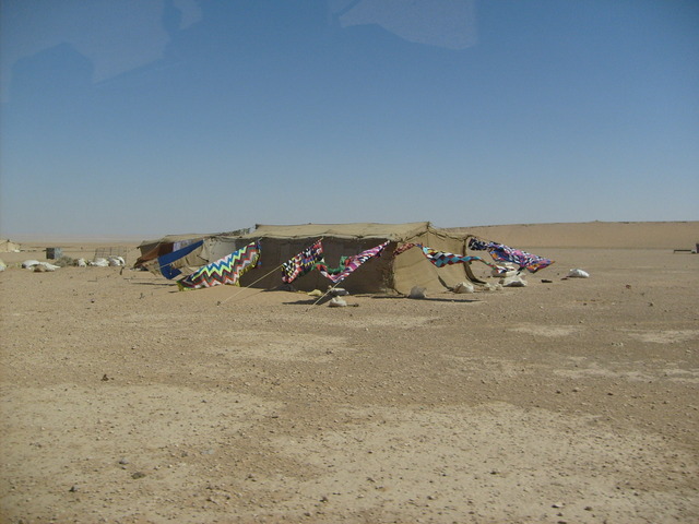 Some Bedouin tents 2 km from the Confluence