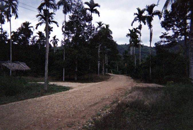 The way to the confluence is to the right. About 50 meters straight  ahead there's a residential house with a red spirit house.