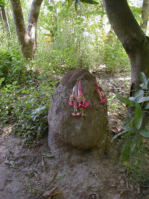Termite mound on the trail to the rice paddies that hold the confluence. Local villagers leave flowered offerings for good luck. Recent termite activity has “welded” the offerings into the mound.