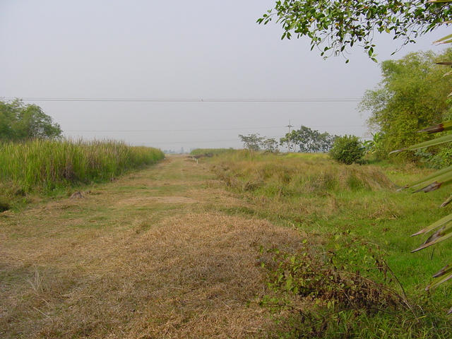 Facing North - 100m track from a small road