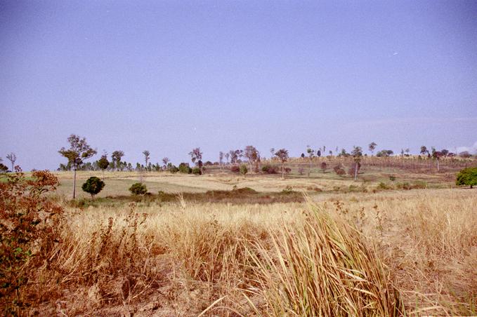 Fields around confluence (to left of picture)