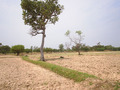 #8: General view of the area near the confluence (II)