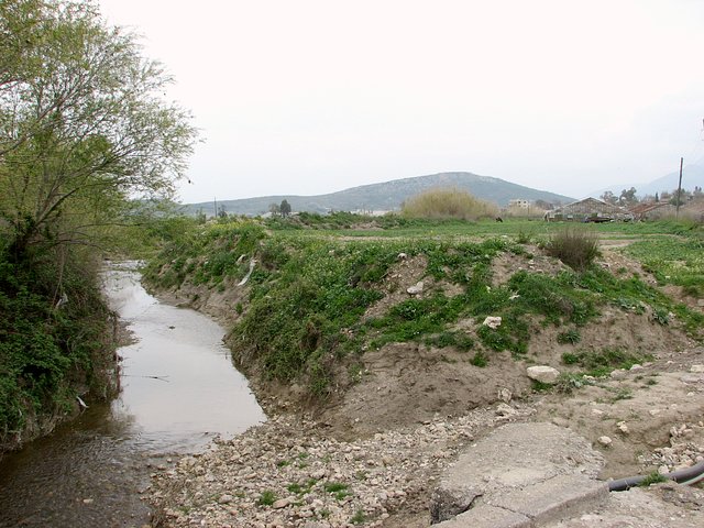 View towards the field with the Confluence from the nearby road