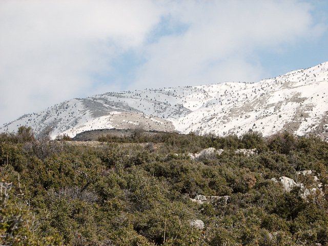 View east from Confluence - snow-covered mountains of the Dedegöl Dağları