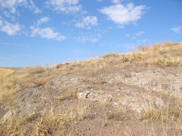 Looking North into the hillside