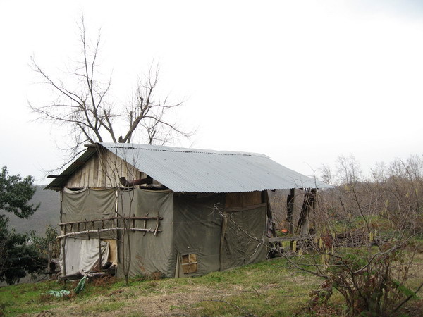 Small house near to the hazelnut fields