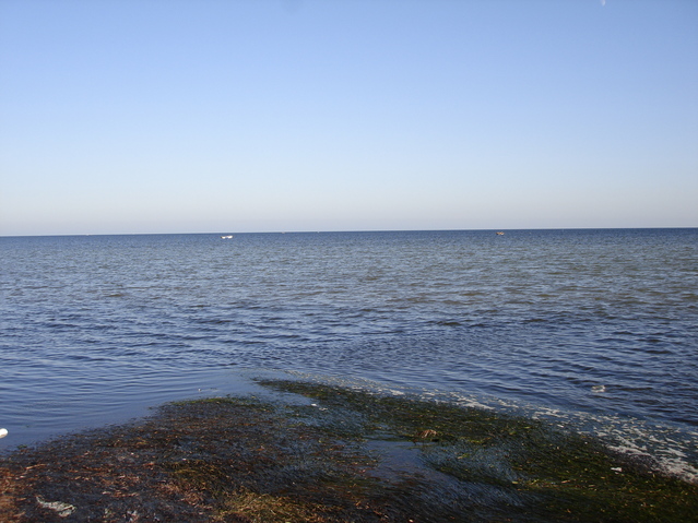 Looking directly in the direction of the Confluence, 1.22 km offshore
