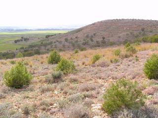#1: General view of the Confluence (ca. 20 m away, direction NW)