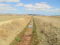 #9: Irrigation ditch running northwest-southeast, passing 100 m from the Confluence (to the right).