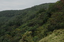 #7: General view of the Confluence point from 640 meters away -  a little below the ridge line in the middle
