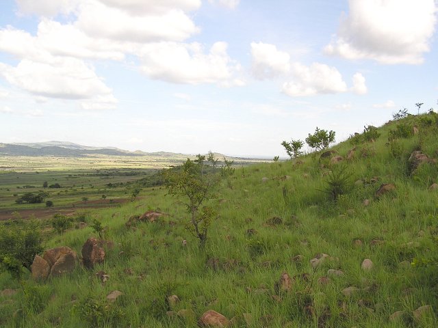 The view of 2S 34E, just north of the Serengeti's Western corridor