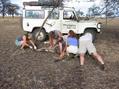 #6: Rescuing a wildebeest which had been snared near the Confluence - lucky for him!