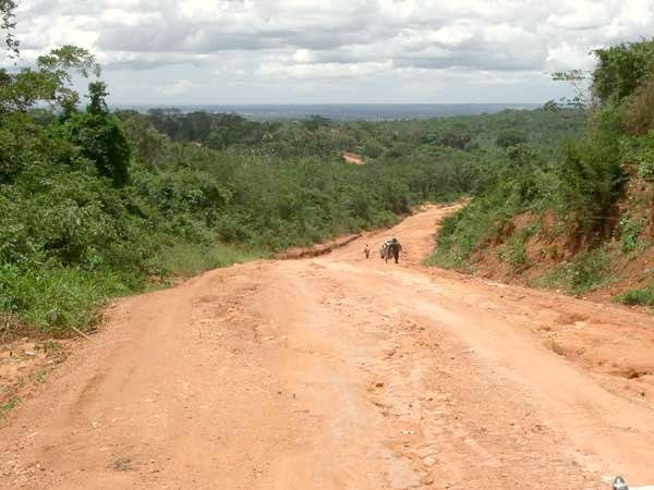 Area about 10 km NE of the Confluence, giving an impression of the road conditions and the vegetation.