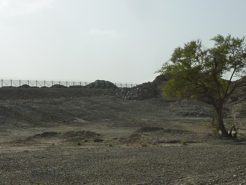 The border fence, about 400 m from the confluence point