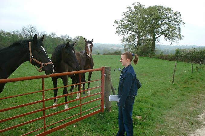 Rachel with the horses