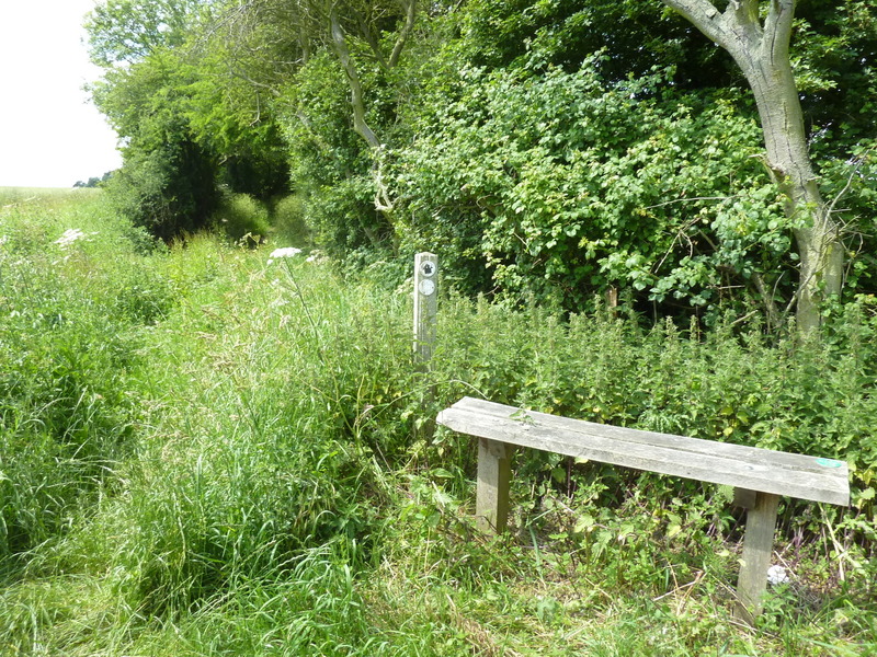 Public footpath towards the confluence point