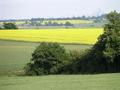 #2: passing a rapefield on the way to the Prime Meridian