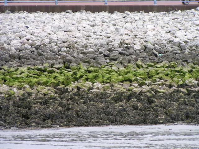 different water levels can be seen at the embankments