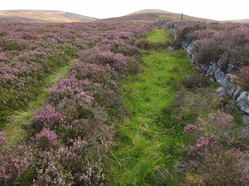 Heather lined track leading up from Allt Dowrie