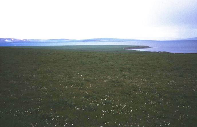 Northward view of the confluence. The hills of Rousay  in the distance.