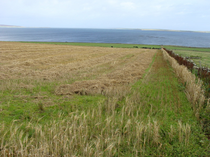 Looking over the approach route towards the Bay of Kirkwall.