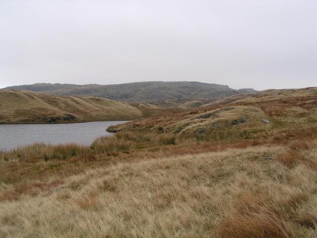 Approaching confluence just to the right of centre on the knoll