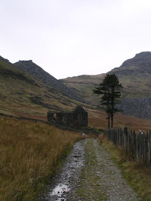 Ruined chapel built of stone rather than slate and a lonely tree