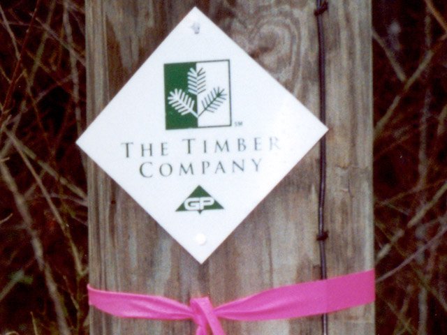 A close up of the GP Timber Co. sign