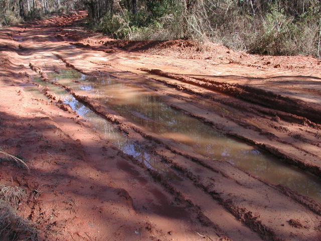 Mucky and Doesn't Clean Easily: Alabama Red Clay