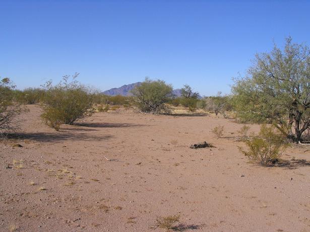 West, with South Mountain in view.