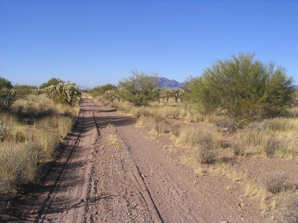 The sandy track to the confluence