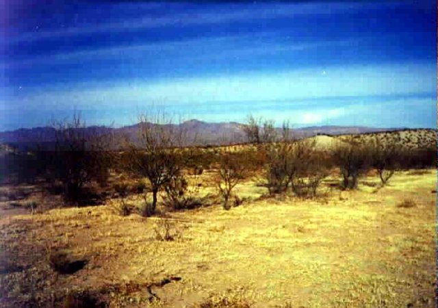 The pasture at N33 W110