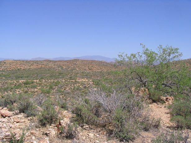 Pinal Peak way off in the distance