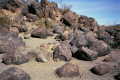 #4: Native American petroglyphs, 3 miles from the confluence, near Painted Rock dam