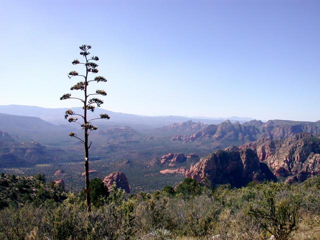 View to SW of Sycamore Canyon Wilderness, from canyon rim