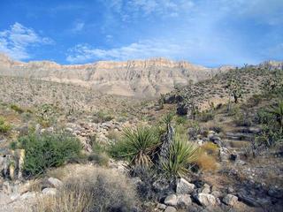#1: View southeast towards the Grand Wash Cliffs