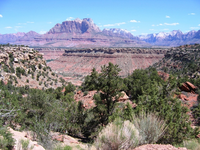 View of Zion from dirt road