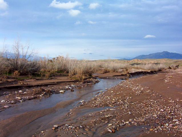 View north up this channel of Beaver Dam Wash.
