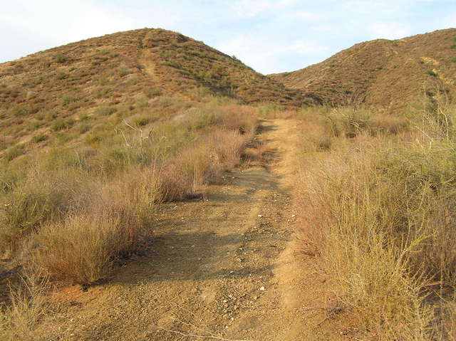 The closest ridgetop trail to the confluence, looking northeast.