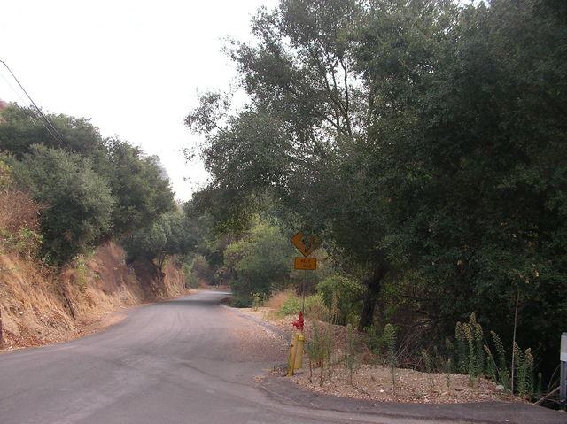 Looking eastward. This is East Oak Cyn Drive.