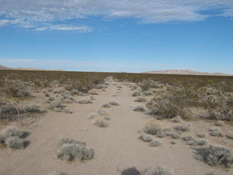 The scant desert track that goes nearest the confluence