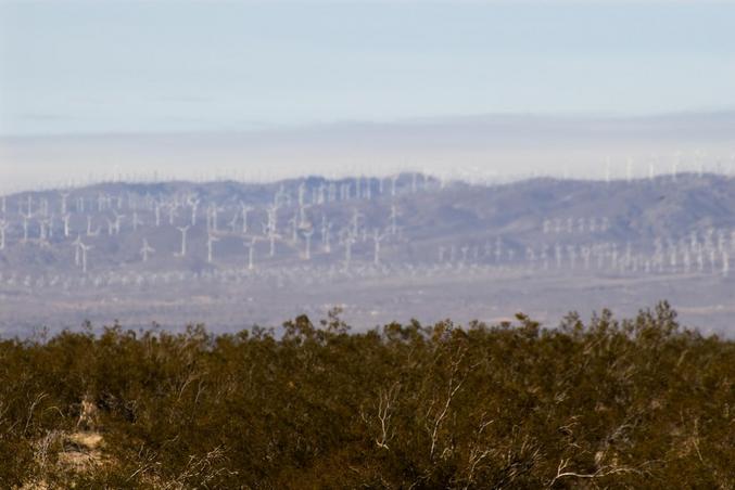 Wind Farm on Tehachapi Mtns. (view to W from site)