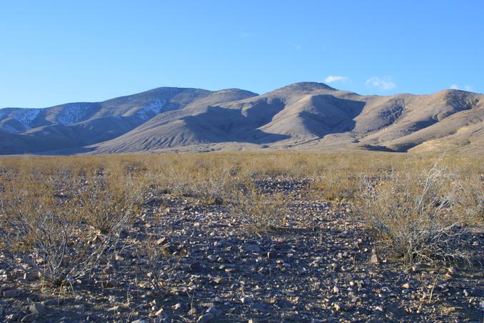 Picture of the confluence taken from SE.  The creosote bush in center foreground marks it pretty well.