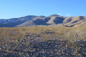 #1: Picture of the confluence taken from SE.  The creosote bush in center foreground marks it pretty well.